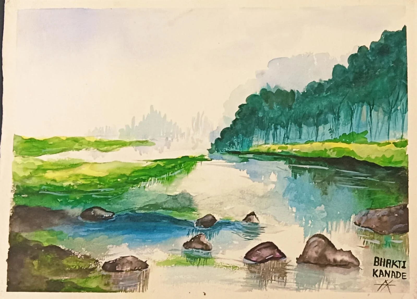 Shallows
